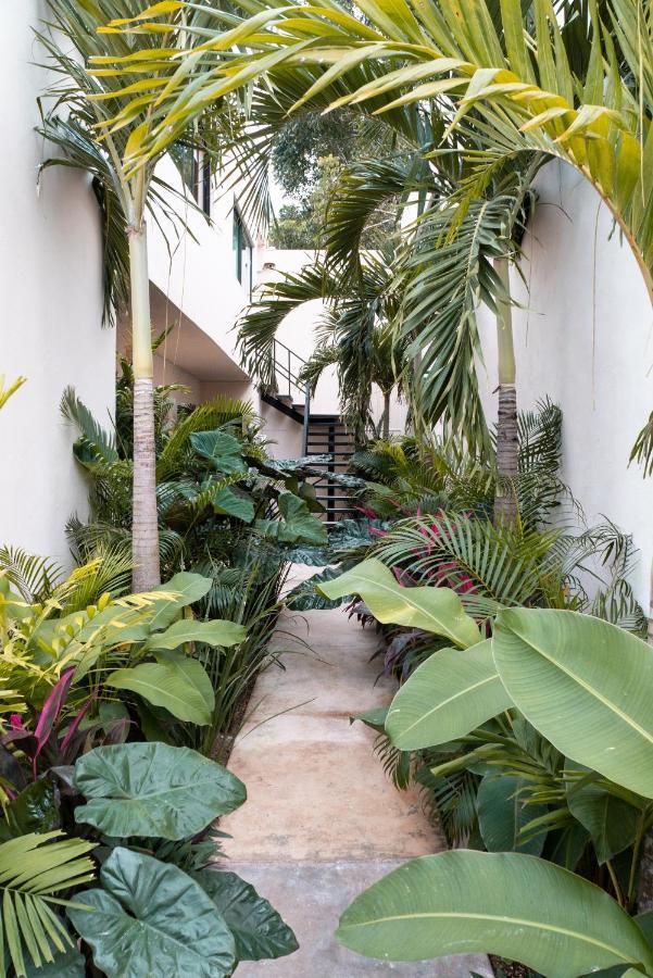 Mayanah Bacalar Exterior foto